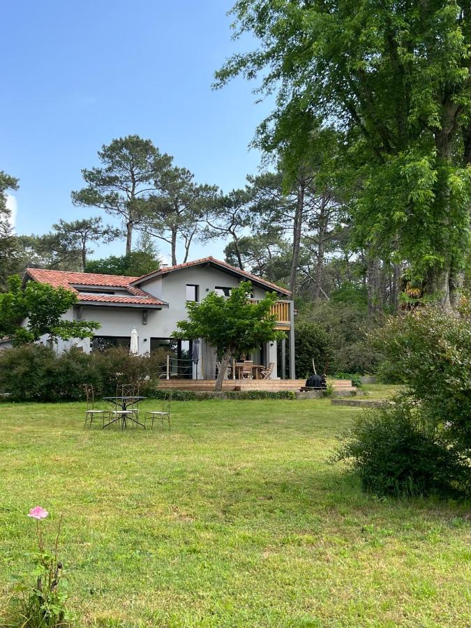 Bed and Breakfast Laguillotte Seignosse Zewnętrze zdjęcie